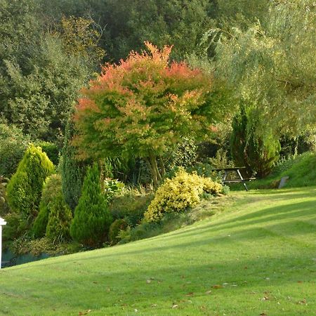 Bryn Hebog Bed and Breakfast Carmarthen Buitenkant foto